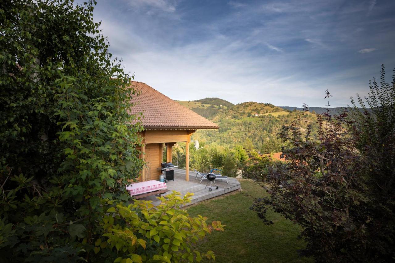 Chalet Skadi Ла-Бресс Екстер'єр фото